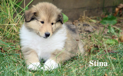 Stina - 7. Woche